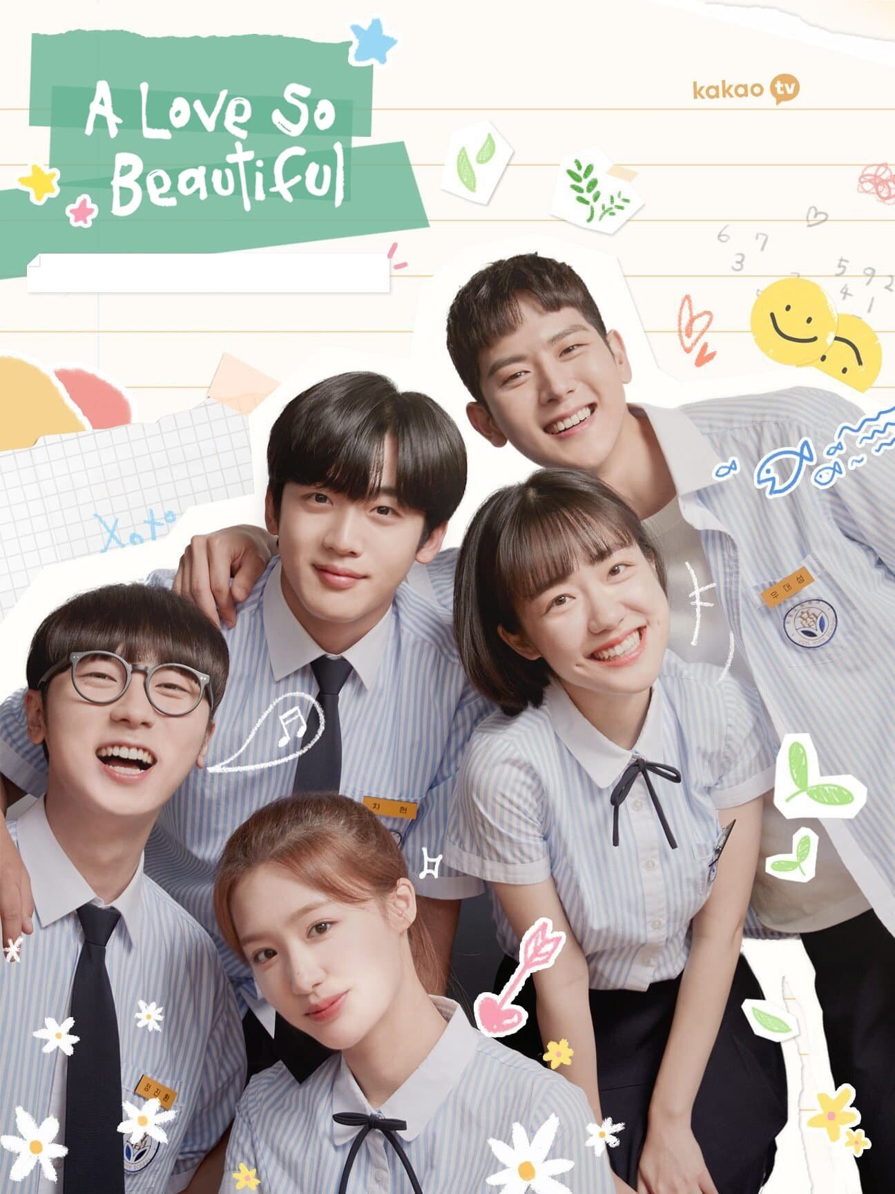 A Love So Beautiful海报